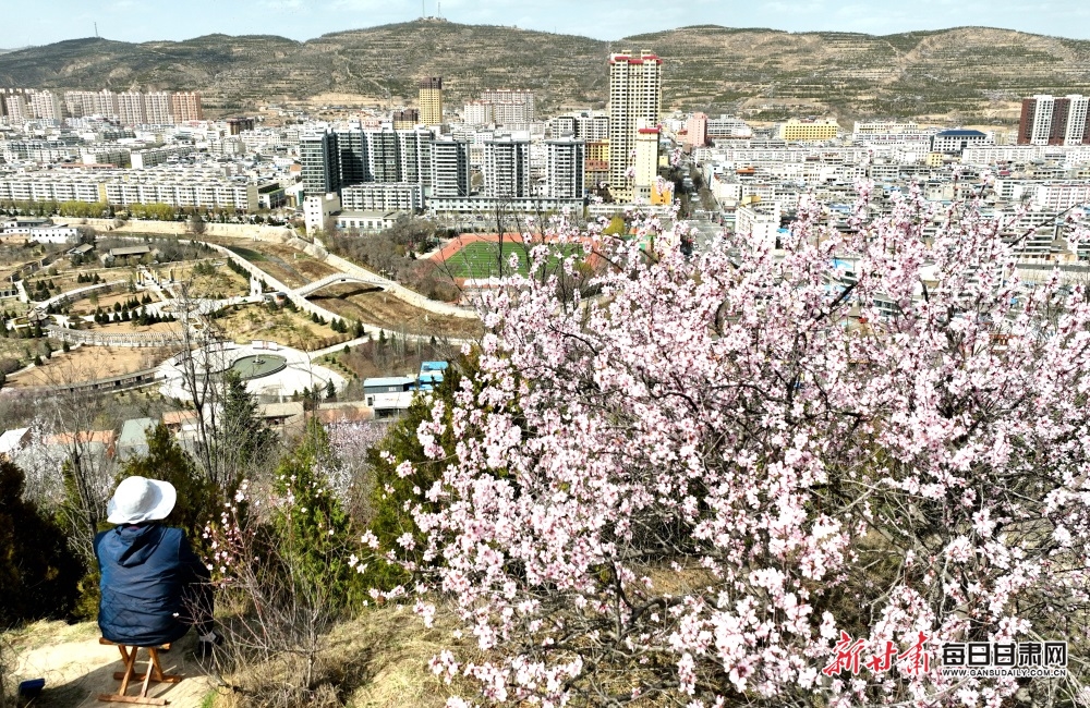 DJI_0161_副本