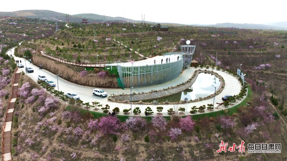 DJI_0174_副本