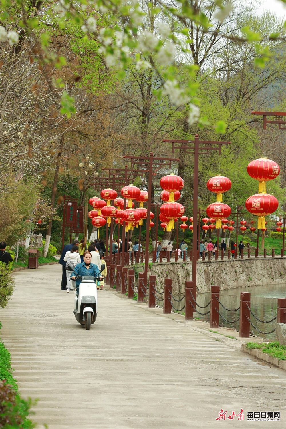 走进康县花桥村你就是画中人