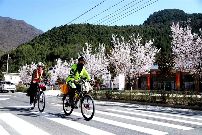 向美而行 向新而兴——走进徽县虞关乡探寻乡村振兴之路甘肃经济日报—甘肃经济网