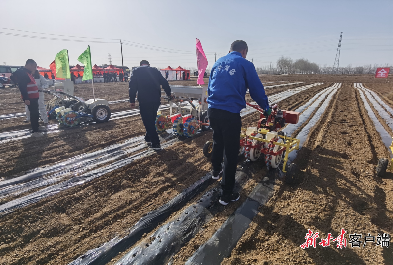 甘肃省春播农作物面积 4381.44 万亩