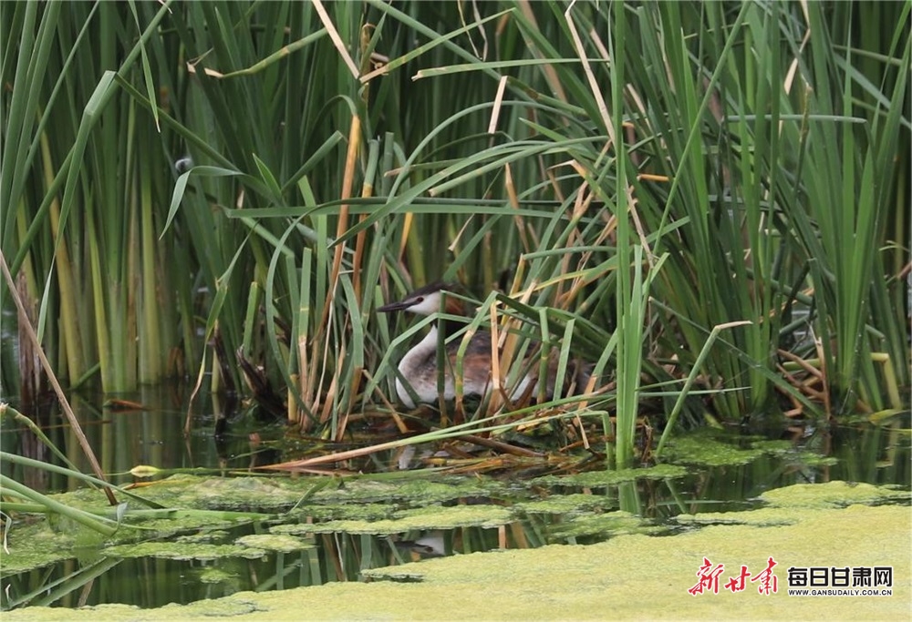 Government provides 10% funding increase for LA 2028