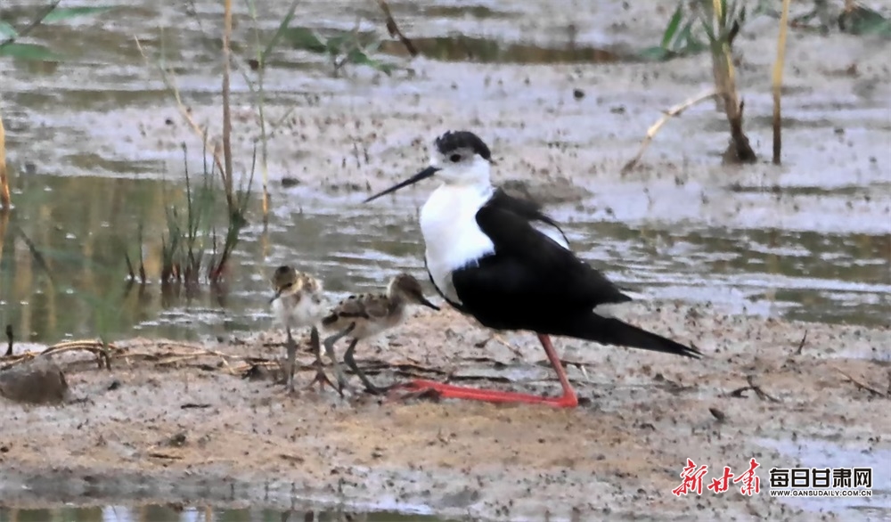 美国制造业PMI创2年零1个月来的低点