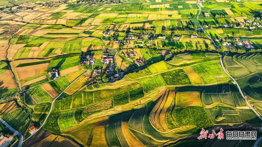 Can AI help modernise Ireland's healthcare system?