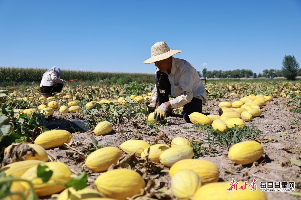 罗湖区单身青年交友联谊活动浪漫开启