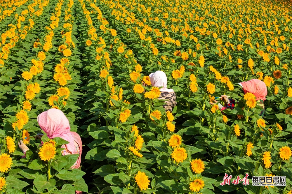 台积电计划2025年进入2nm工艺量产