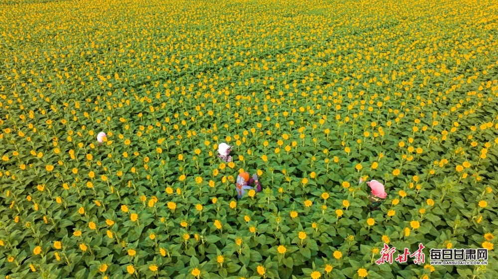 Wolves midfielder Gomes signs new five-year deal