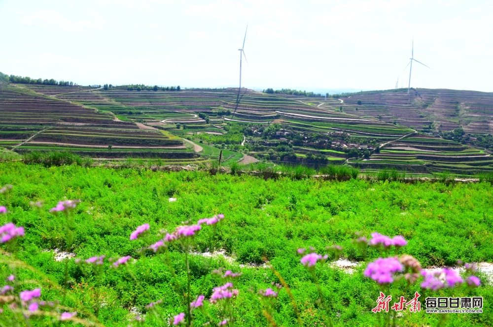What does science tell us about boxing’s gender row?
