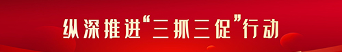 【专题】纵深推进“三抓三促”行动