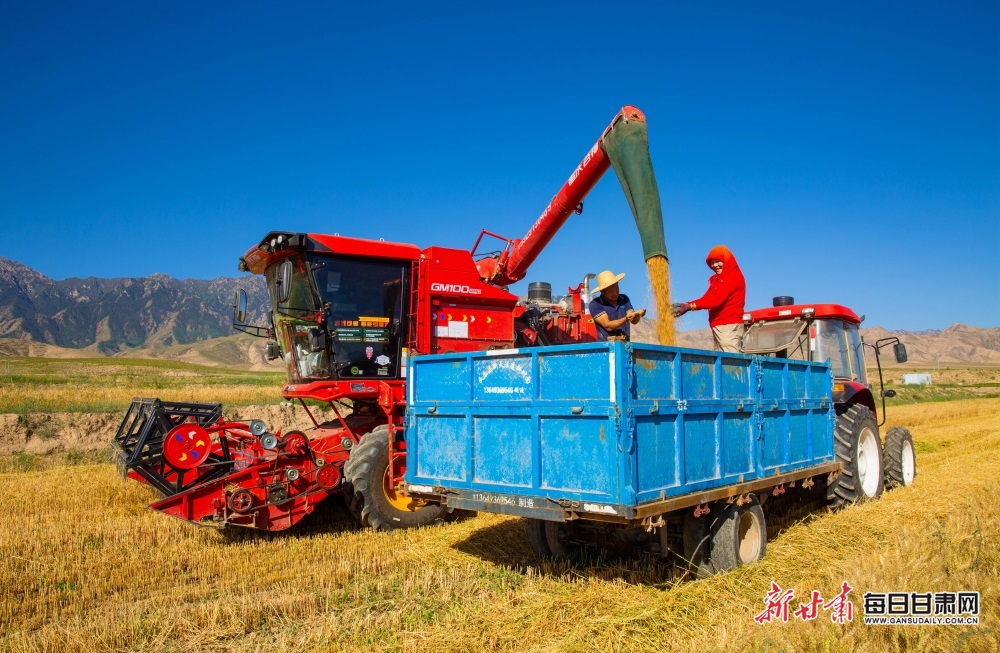 上海整租（上海整租1房1厅多少钱）
