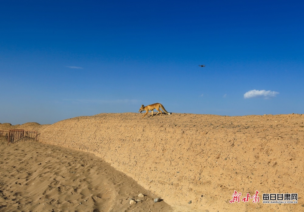 锐评|女生在上海禁烟场所被烟头烫伤，绝不能被视为“个人纠纷”