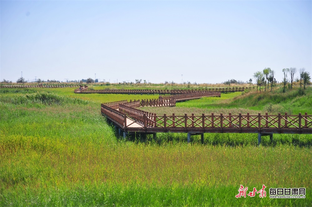 Connor declines race for GB after UKA ask him to pay