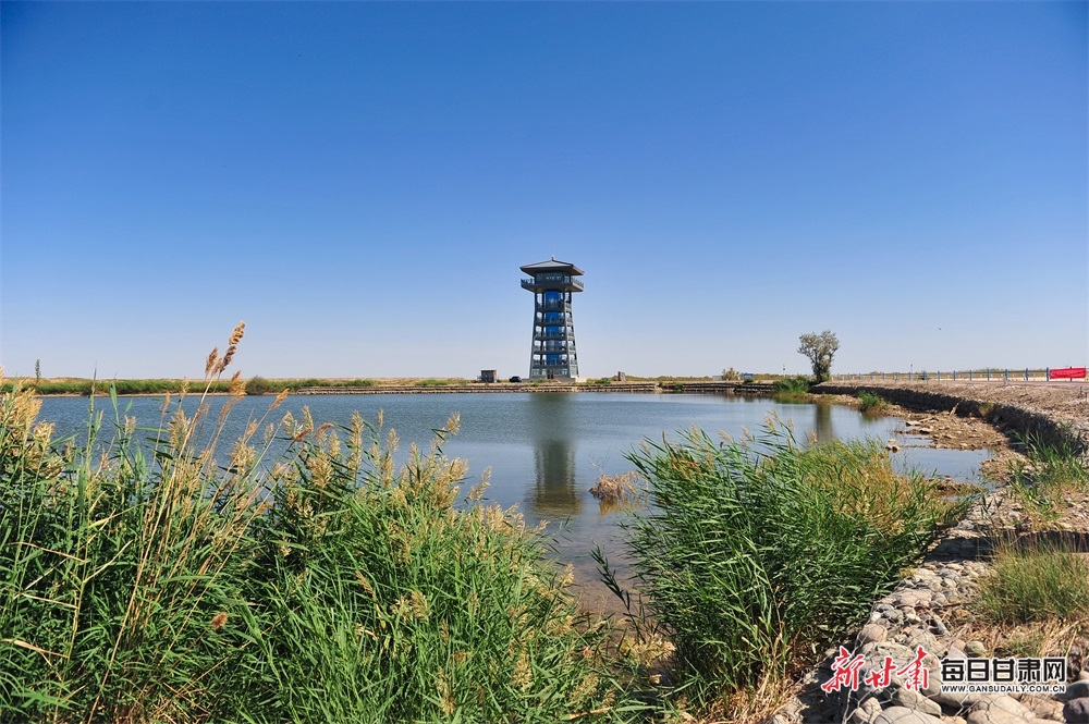 几十元网购“万能电子钥匙”，秒开一众电动自行车、汽车、电动门……