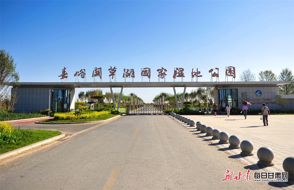 McNabney 'stretched massively' after shock Ireland call