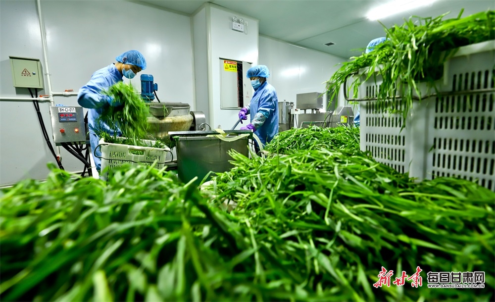 《帅作文》2025年2月第1期刊用目录丨恭喜上报！