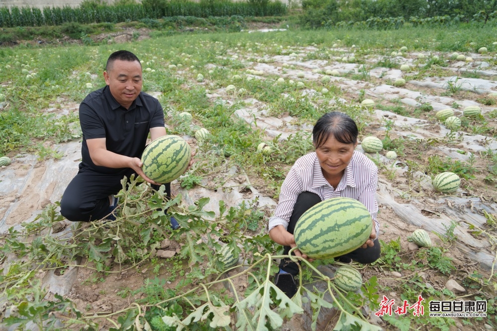 19楼杭州口水楼市（口水楼市住在杭州论坛）