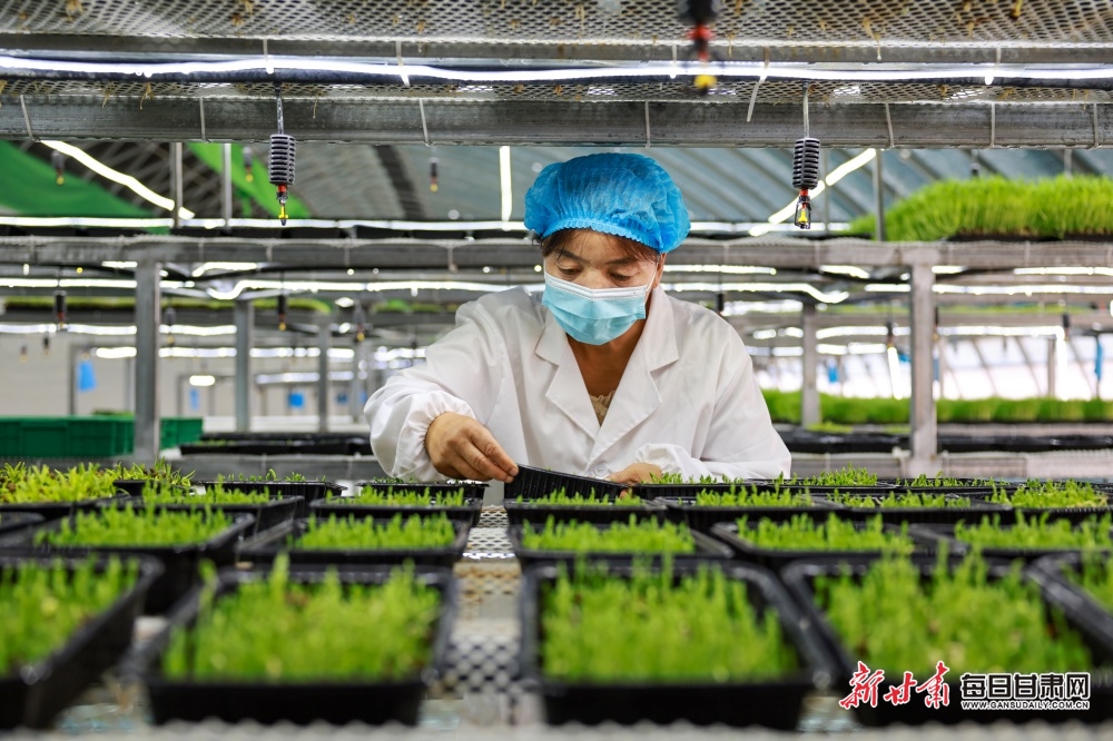 Warning bill rises hit single parents hardest