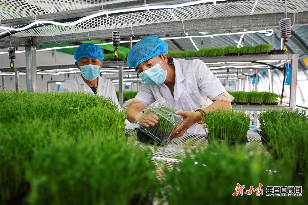 湖北通服高质量完成武汉地铁11号线二、三期通信网络建设工程