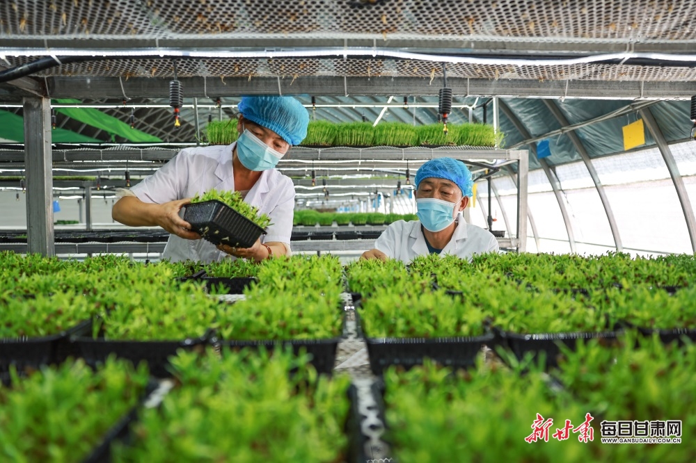 Waste company reuse shop re-homes 250,000 items