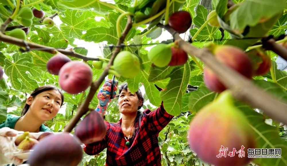 Pulse and Lightning win Super League openers