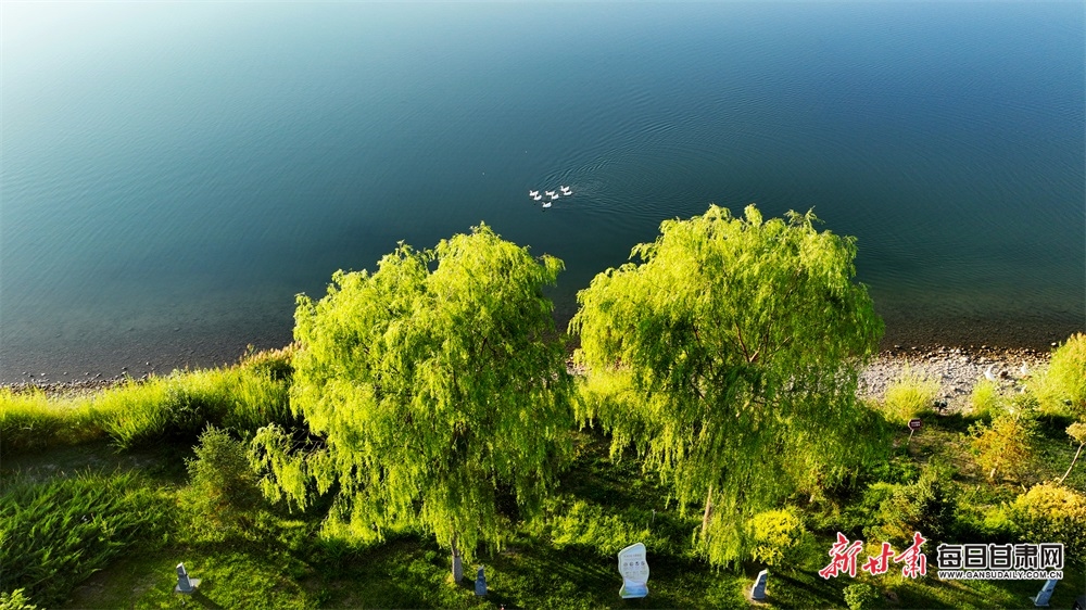 通州二手房（北京通州二手房）