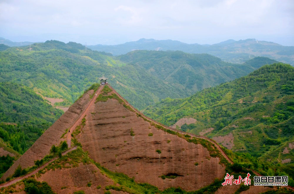 Jets 'failed as a team' during Rodgers stint - Williams