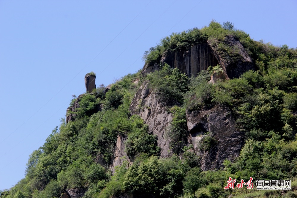 EcoChina | Flowers in full bloom attract visitors