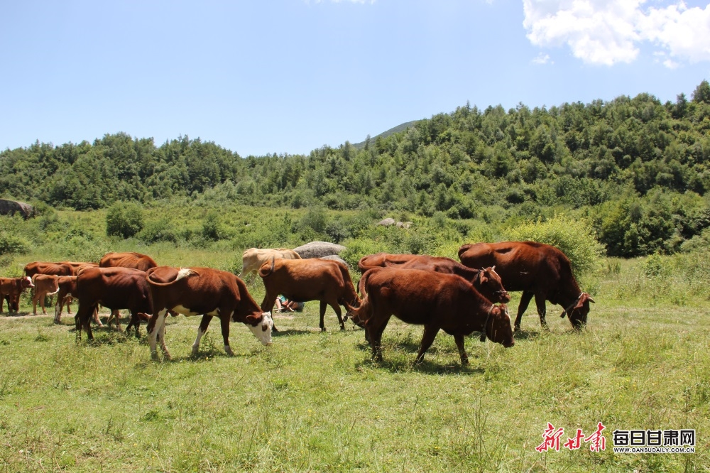 收藏资讯《全国皮划艇静水冠军赛红莲湖开桨 首个决赛日鄂军揽1金1银1铜》解说文案