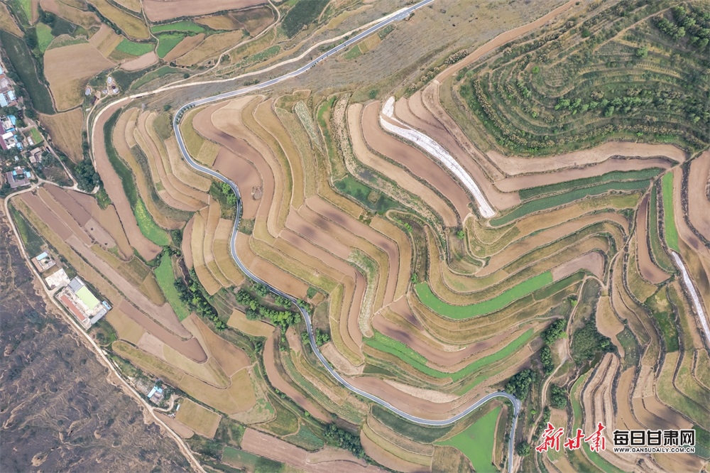 How Covid lockdown inspired a streetwear dream