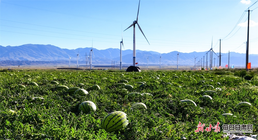 武汉最美樱花公交站全面升级