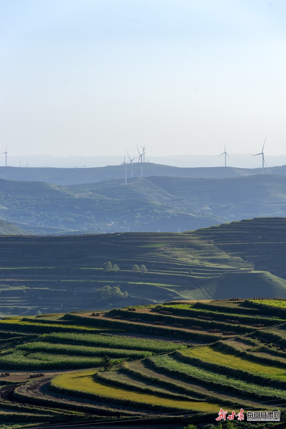 'Amazing' Cornish women in frame at new exhibition
