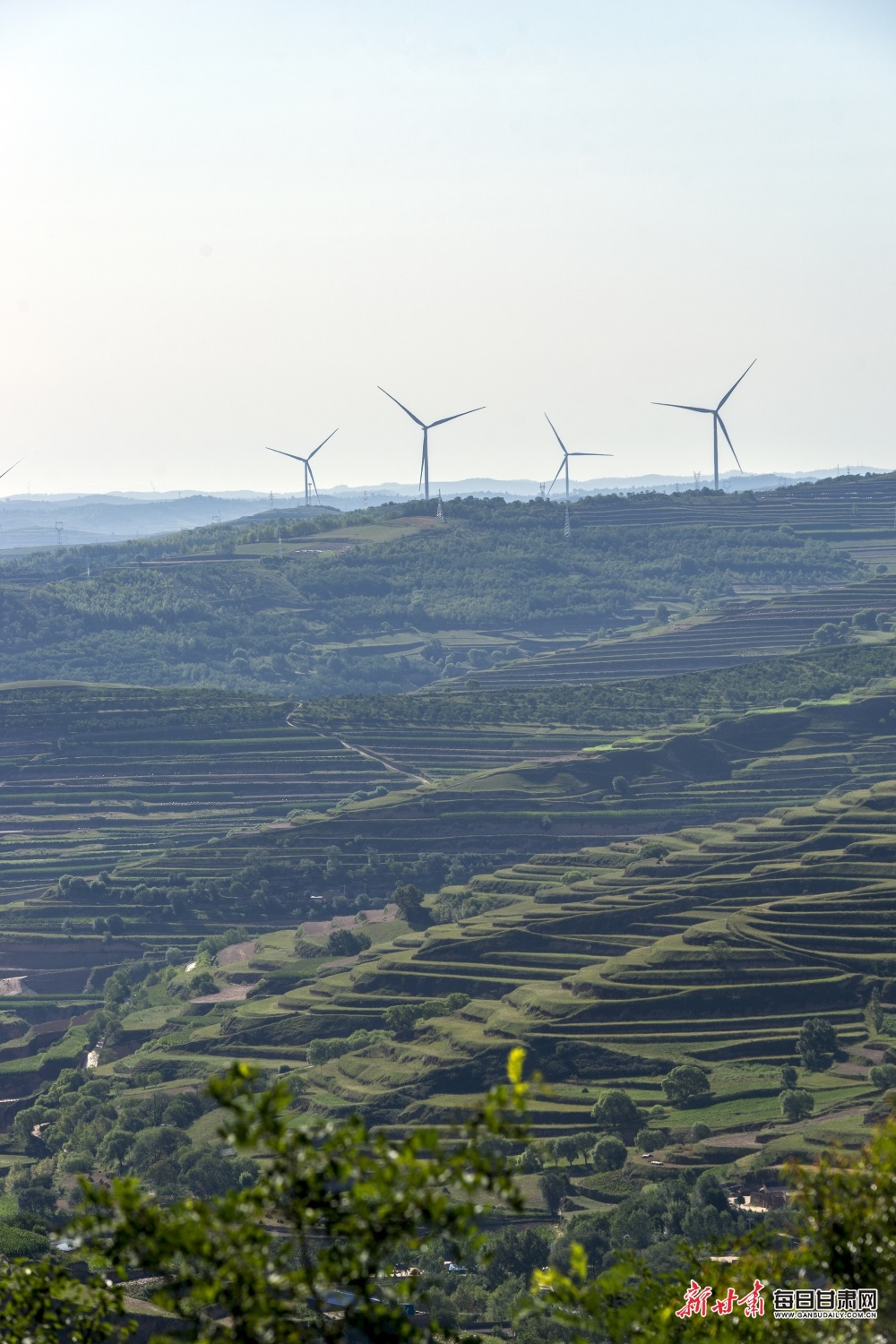 锐评|未生育女子术中被索要“专家费”，子宫被全切，三个方面值得警醒