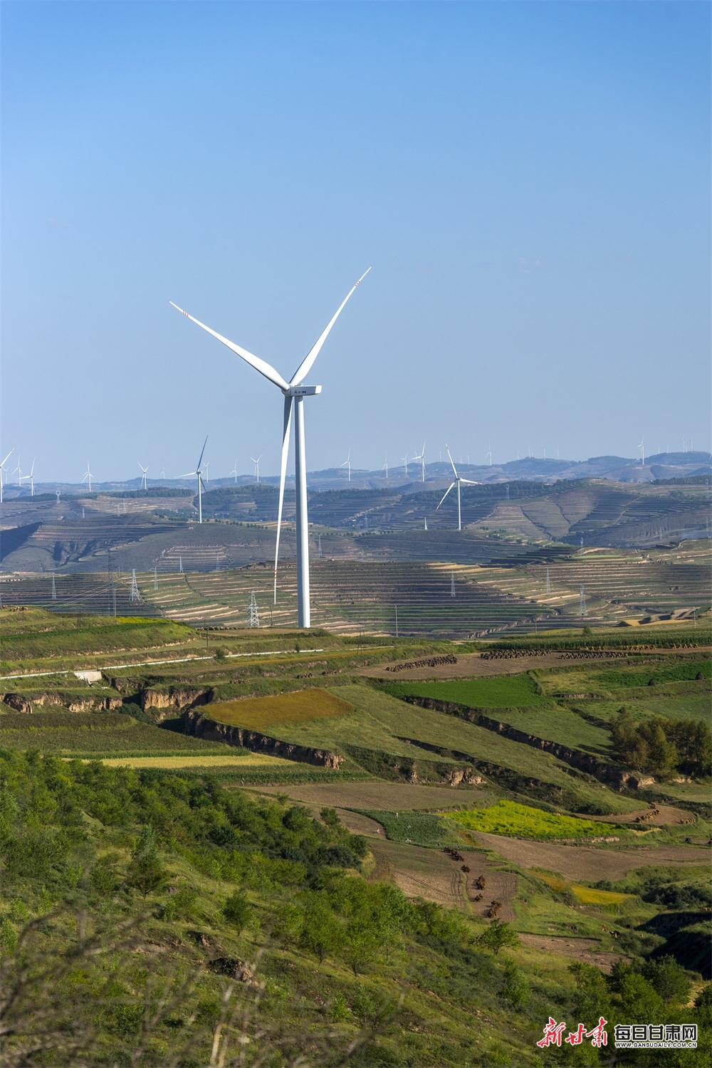 Trump beats Higgins to set up Wilson final