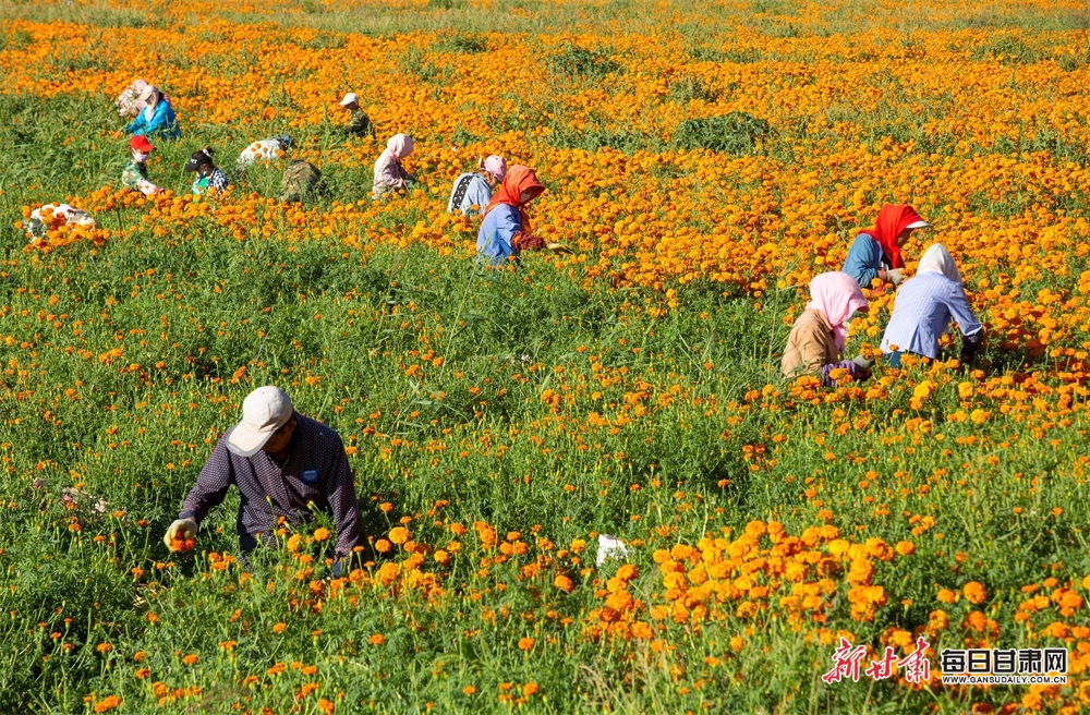 How to be a healthy weight without counting calories