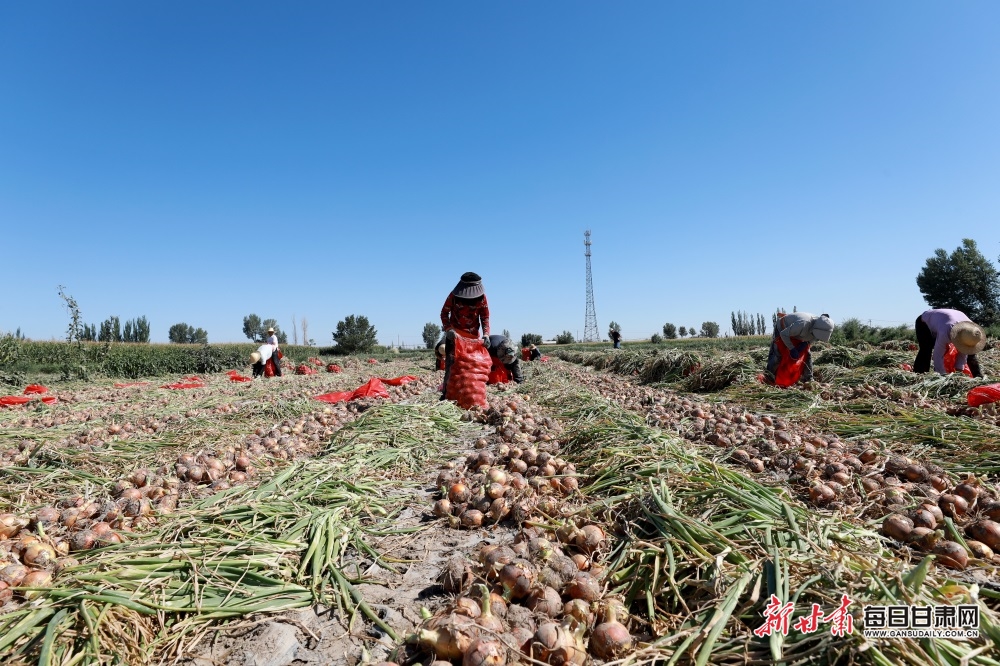 Atlanta Drive fight back to win inaugural TGL title