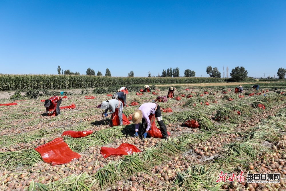 雨中后官湖：水墨画卷，别样风情