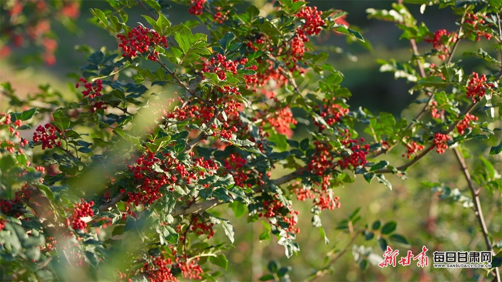 Four golds and a baby boy - but what next for Azu?