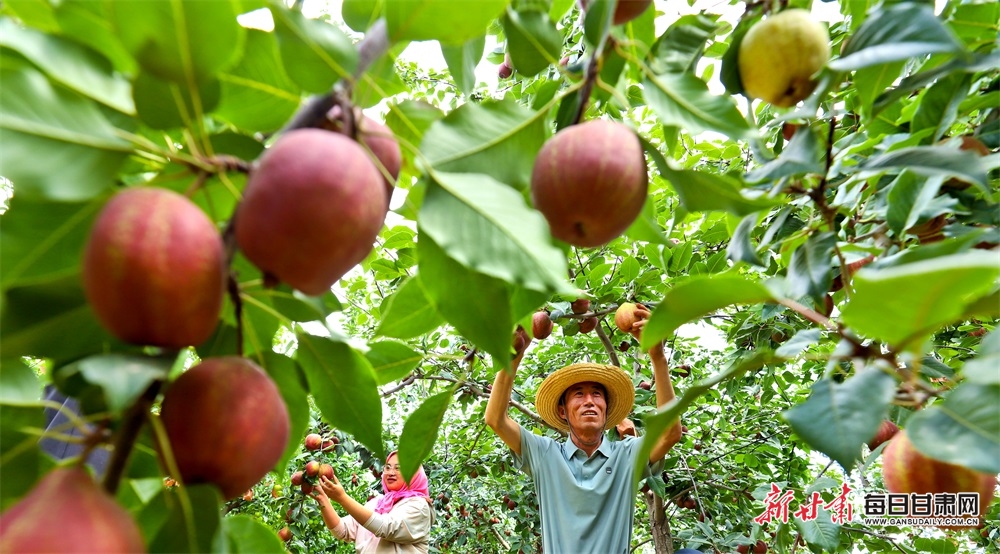 太火了，赏樱航线加开！苏州河游船单日客流创新高