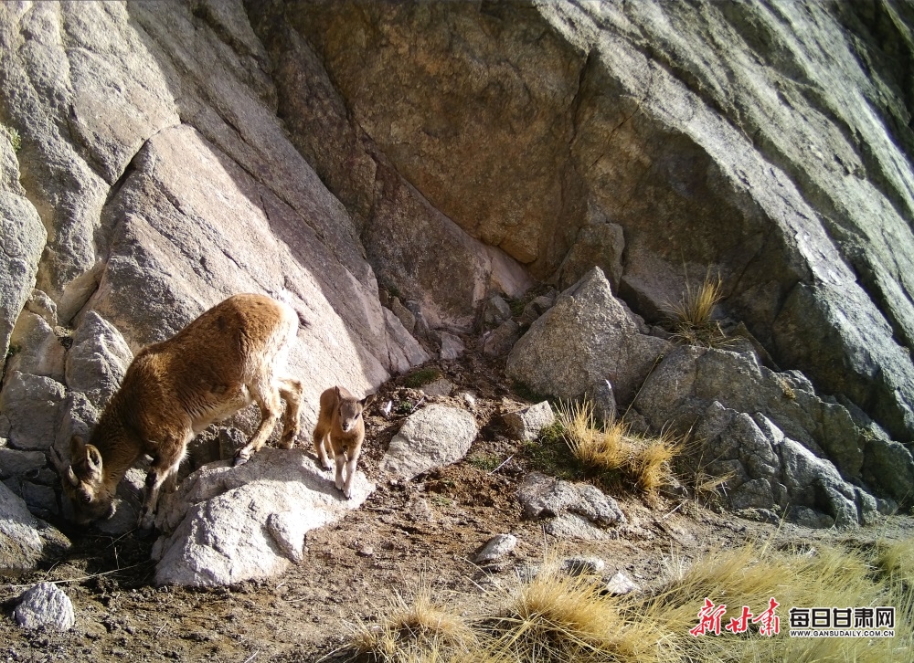 Creativity or cultural invasion? A fashion show sparks a row in Kashmir