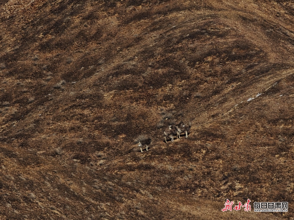 Riza questions Cardiff players' mentality after draw