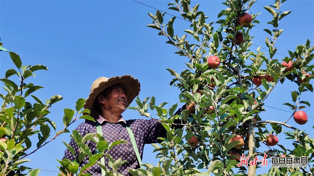 南京江北新区最新开盘房价（2021南京江北新区新开楼盘）