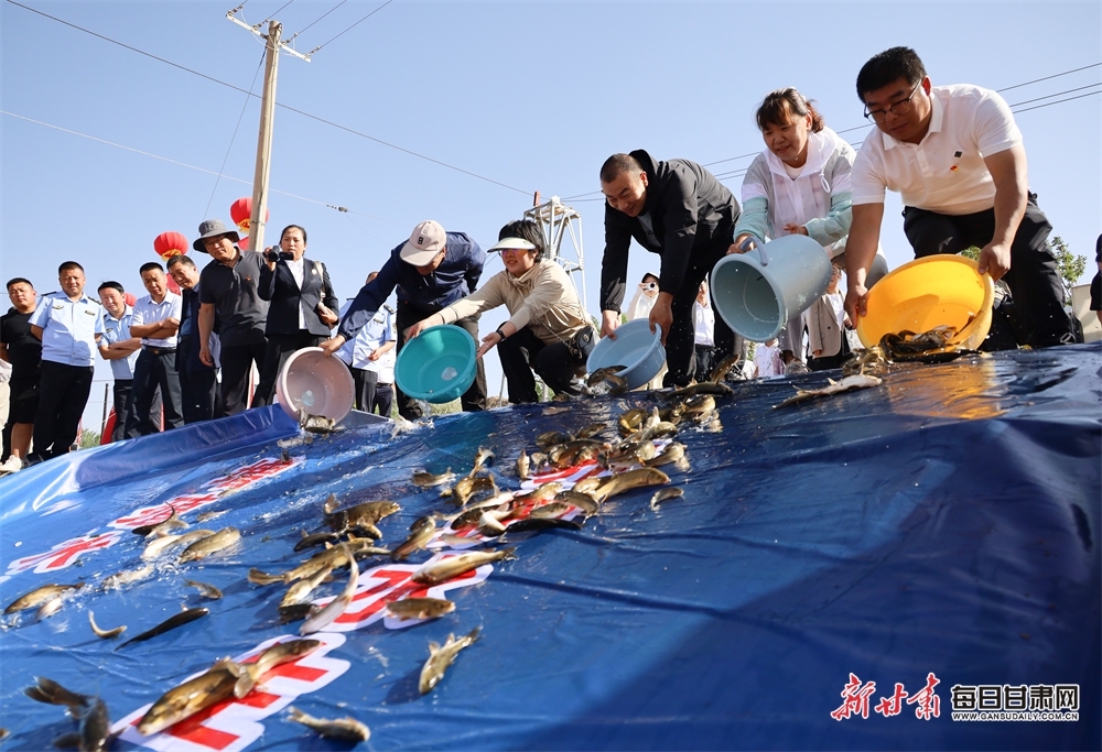 Punk rock gig to raise money for women's refuge