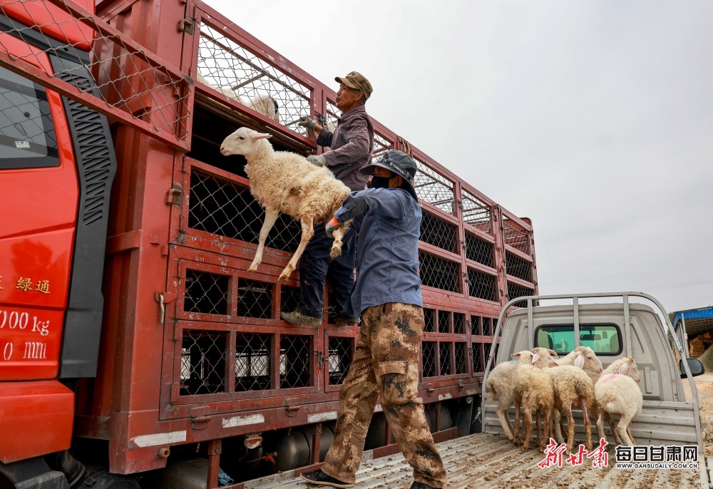 这个社区开展清明祭扫活动，缅怀革命先烈，赓续红色血脉