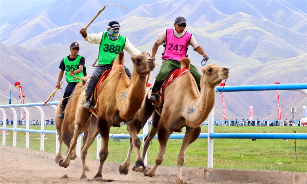 莲花小学家长开放日：共赏成长硕果，携手筑梦未来