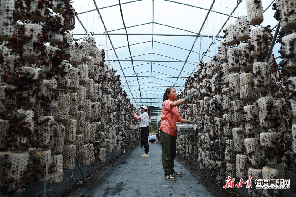 “低空+文旅” 创新场景推动春季消费升级