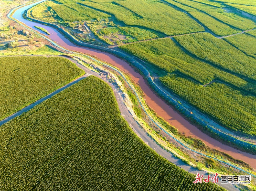 锐评|女生在上海禁烟场所被烟头烫伤，绝不能被视为“个人纠纷”