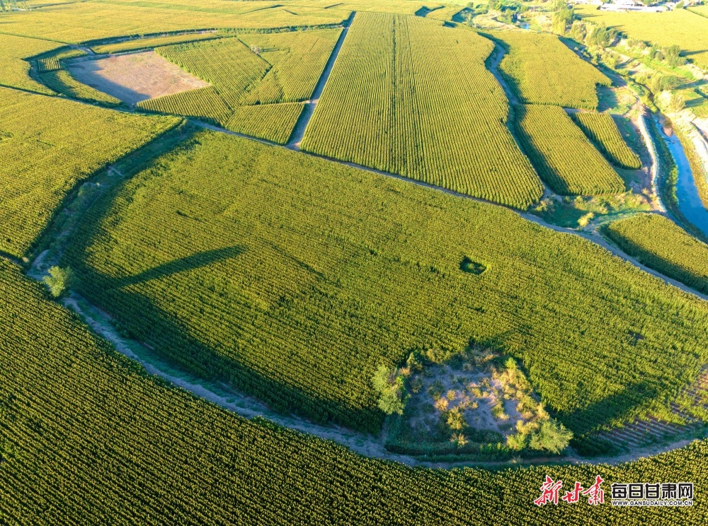 我国在三维世界造出二维金属材料！新金属厚度为头发丝二十万分之一