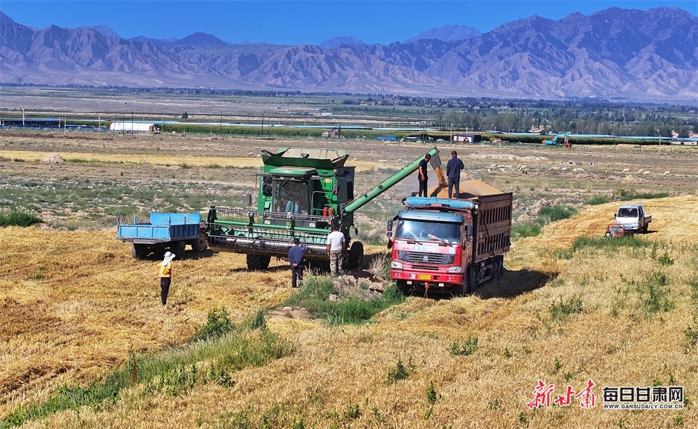 Rees-Zammit 'never thought about rugby return'