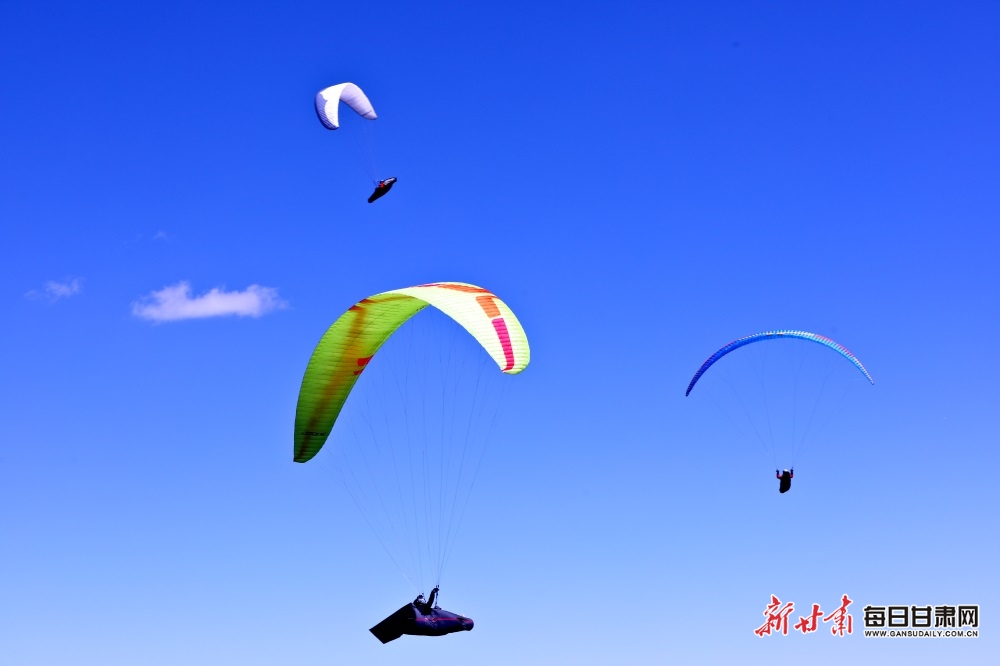 Back to university for Olympic swimmer