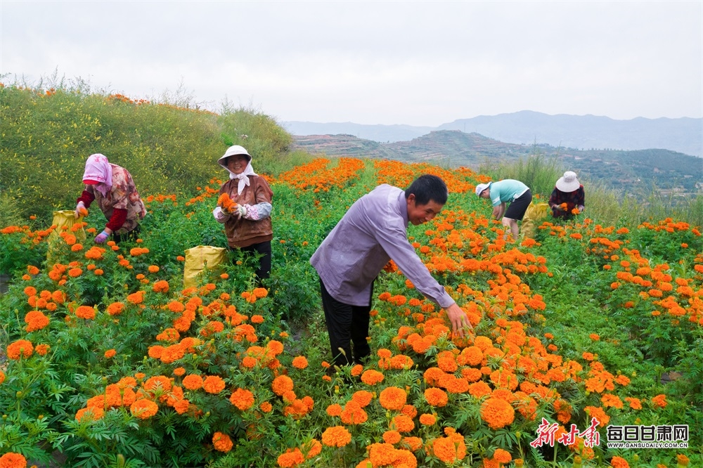 苏州日本母子遇袭案9日首次开庭审理